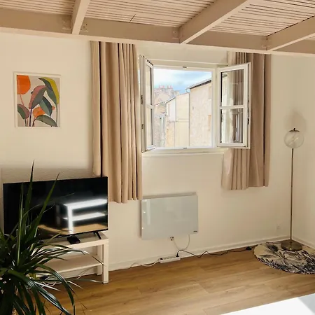 Charming & Central Studio Daire